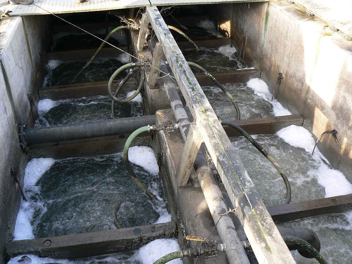 submerged-aerated-fixed-bed-reactor-saf-novotec